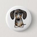 Suche nach niedliche dackel buttons Welpe