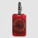 Suche nach gerbera accessoires Botanisch