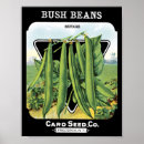Suche nach seed poster Garden