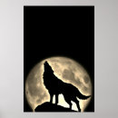 Suche nach heulender wolf poster Wölfe