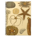 Suche nach algen kleine notizbücher Anemon