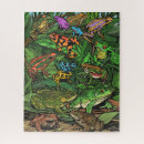 Suche nach amphibien puzzle Frösche