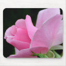 Suche nach floristen mousepads Rose