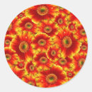 Suche nach gerbera aufkleber Griechen