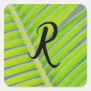 Suche nach glas marker Palme