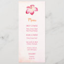 Suche nach plumeria blume Blumenreich