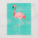 Suche nach rosa und türkis postkarten Hawaii