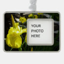 Suche nach iris ornamente Natur