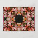 Suche nach rosa gänseblümchen postkarten Mit blumen