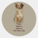 Suche nach jagdhund aufkleber Welpe