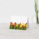 Suche nach rote tulpen postkarten Frühjahr
