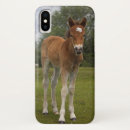 Suche nach ponys iphone hüllen Fohlen