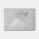 Suche nach nagetier post it Eichhörnchen