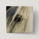 Suche nach kleiner cowboy buttons Pferd