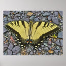 Suche nach easter poster Natur