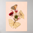 Suche nach schmetterlings poster Motte
