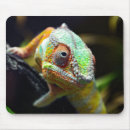 Suche nach ansicht mousepads Bunt