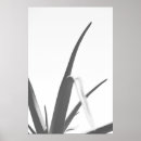 Suche nach aloe poster Schwarz