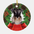 Suche nach zwergschnauzer ornamente Hund