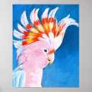 Suche nach neon poster Exotische vögel