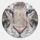 Suche nach tigerkopf aufkleber Tigerliebhaber