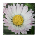 Suche nach kneipe fliesen Blume