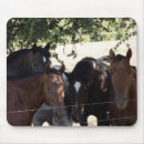 Suche nach ponys mousepads Bauernhof