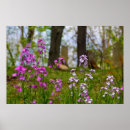 Suche nach friedhofs poster Blume