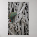 Suche nach lizards poster Eidechsen