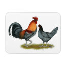 Suche nach delaware magnete Geflügel