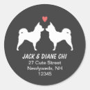 Suche nach chihuahua aufkleber Chiwawa