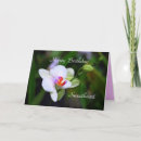 Suche nach phalaenopsis karten Lila
