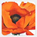 Suche nach rote mohnblumen aufkleber Elegant