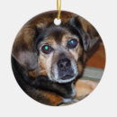Suche nach puggle hund ornamente Verzierung