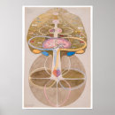 Suche nach visionäre kunst Spirituell