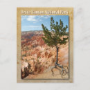 Suche nach baum wurzeln postkarten Felsen