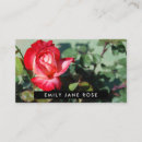Suche nach rote rosen visitenkarten Blume