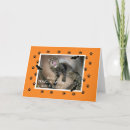 Suche nach scaredy katze Halloween