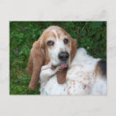 Suche nach basset poster Albern