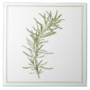 Suche nach rosemary fliesen Grün