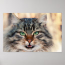 Suche nach tierplakate poster Für sie