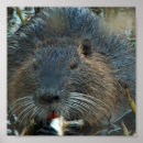 Suche nach habitat poster Tiere