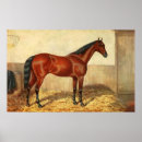 Suche nach pferde pferde poster Pferdestall