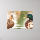 Suche nach männliche ente poster Weiblich