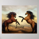 Suche nach stabil poster Hengst