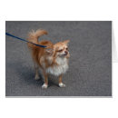 Suche nach redheads postkarten Lustig