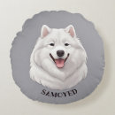 Suche nach samoyed kissen Besonnen