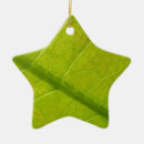 Suche nach grünes blatt ornamente Sommer