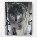 Suche nach alpha wolf mousepads Wölfe