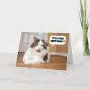 Suche nach thunfisch postkarten Vom haustier